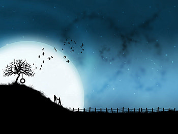 Birds, Night, Love, Vector, Wood, Couple, Pair, Tree, Silhouettes, Embrace HD wallpaper
