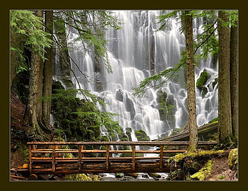 Ramona-Falls-Mount-Hood-Wilderness-Oregon-USA, falls, leaves, waterfall, bridge, waterfalls, beautiful, nature, tree HD wallpaper