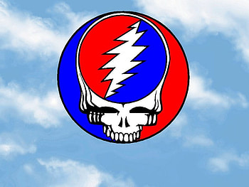 Grateful Dead, steal, your face HD wallpaper
