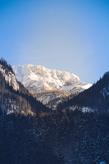 Nature, Trees, Sky, Mountains, Vertex, Top, Snow Covered, Snowbound HD phone wallpaper