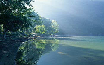 Landscape, Rivers, Trees HD wallpaper