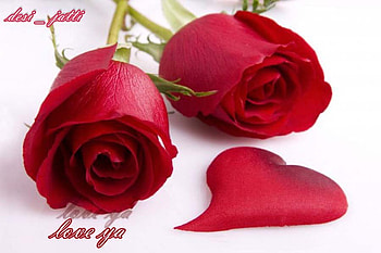 love, rose, you, heart HD wallpaper