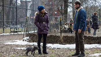 The Drop (2022) movie HD wallpaper