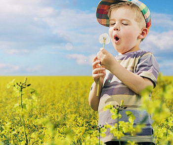 cute, boy, field, dandelion HD wallpaper