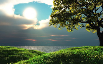 Eye In The Sky, grass, sunrise, lakes, green, trees, nature, sky, water, sun, sunset HD wallpaper