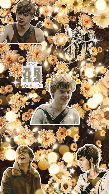 Newt, yellow, Maze Runner HD phone wallpaper