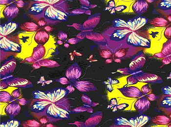 Collage of butterflies, butterflies, collage HD wallpaper