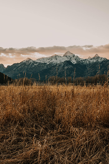 Landscape, Nature, Grass, Mountains, Field HD phone wallpaper