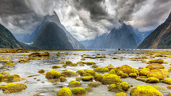 Live , Sound, Hutomo HD wallpaper