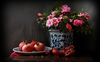 Still Life Pomegranate, pomegrante, still life, flowers, food HD wallpaper