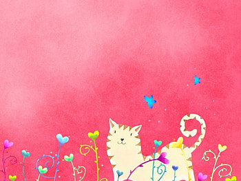 i am a lonely cat, pinky, cute, flo, nice HD wallpaper