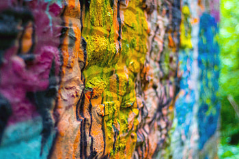 Macro, Multicolored, Motley, Paint, Surface, Wall HD wallpaper