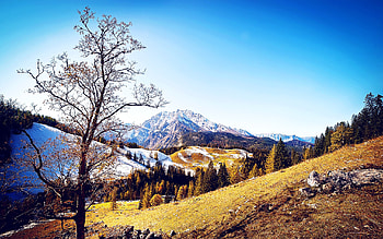 Autumn Mountains, autumn, mountains, nature HD wallpaper