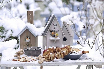 Birdhouse, sweet, winter, graphy, snow HD wallpaper