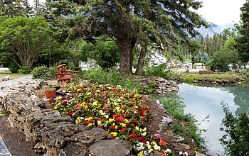 Spring Blossoms, trees, river, flowers, park HD wallpaper