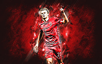 Erling Braut Håland, soccer, erling haaland, football, norway HD wallpaper