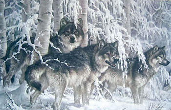 Crystal Forest, winter, Forest, Crystal, wild, wolfs HD wallpaper