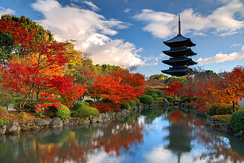 To-ji Temple, Kyoto HD wallpaper