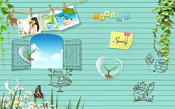 Background, Still Life HD wallpaper