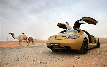Mercedes Benz, style, 1920x1200, design, racing, car, speed, shiny, mercedes, sportcar, camel, fast, , desert, benz, 2010, village HD wallpaper