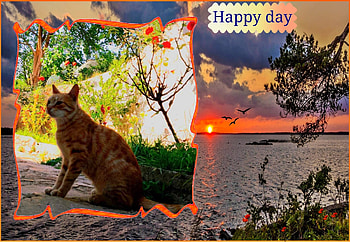 Happy day, Lovely, Cats, Garden, Cute, Summer HD wallpaper