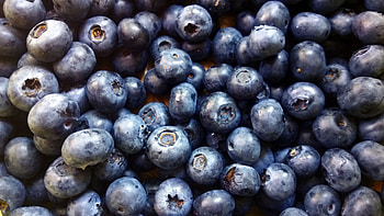 Food, Blueberry backgrounds, Top HD wallpaper