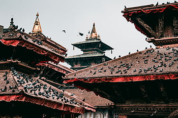 Pigeons on traditional pagoda rooftops in cultural Kathmandu, Nepal. HD wallpaper