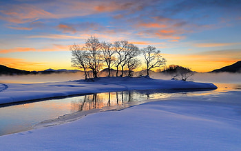 Winter in Japan, snow, lake, winter, Japan, reflection, trees, calm HD wallpaper