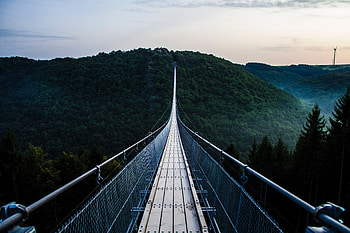 Nature, Trees, Bridge, Suspension, Hanging HD wallpaper