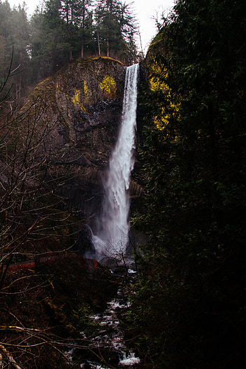 Nature, Trees, Grass, Waterfall, Precipice, Break, Flow, Moss HD phone wallpaper