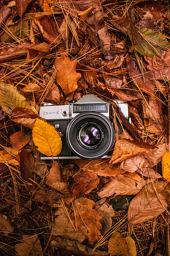 Vintage camera, eye, reflex camera HD phone wallpaper