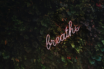 Words, Inscription, Motivation, Letters HD wallpaper