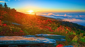 Autumn in North Carolina, mist, fall, landscape, colors, sky, forest, sun, sunrise, usa HD wallpaper