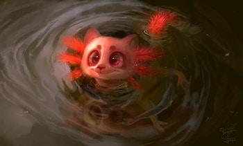 Water, Art, Sight, Opinion, Animal, Nice, Sweetheart HD wallpaper