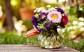 Flowers, Glass, Vase HD wallpaper