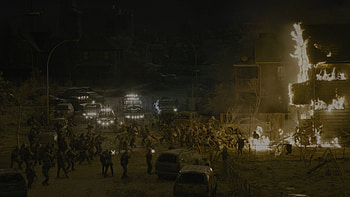 The Last of Us (2023), TV Show, The Last Of Us HD wallpaper