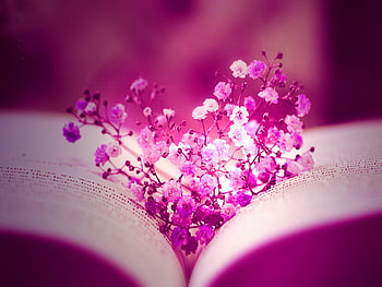 Violet heart, beautiful, gift, pink, book, violet, love, love story, flowers, heart, pages HD wallpaper