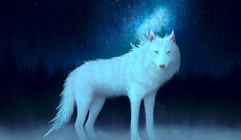 Art, Wolf, Animal HD wallpaper