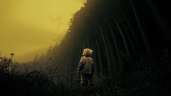 Forest Wanderer With Box Head, arist, artwork, art, digital-art, artist HD wallpaper