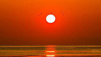 Moon Over Water, sea, full moon, sky, orange, water, Firefox Persona theme, sunset, ocean HD wallpaper