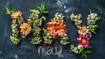 May Blooms, May HD wallpaper