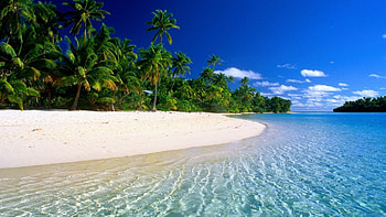 Tropical beach, Paradise beach, Beautiful beaches, Nature's bliss HD wallpaper