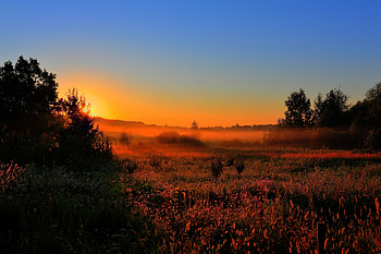Nature, Sunset, Sun, Field, Illumination, Lighting HD wallpaper