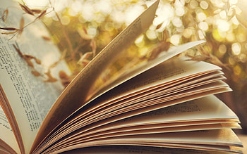 Book , Vintage charm, Classic literature, Reading inspiration HD wallpaper