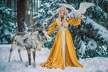 Snow Queen, winter, aleksandra savenkova, animal, model, bird, girl, owl, woman, reindeer, iarna, yellow, bufnita, queen, pasari HD wallpaper