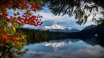 Lost Lake, Mount Hood National Forest, Oregon, leavesa, fall, landscape, trees, colors, water, reflections, usa, autumn HD wallpaper