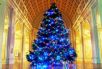 Christmas Tree, painting, , christmas, tree HD wallpaper