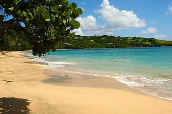 Nature, Sea, Beach, Sand, Tropics HD wallpaper