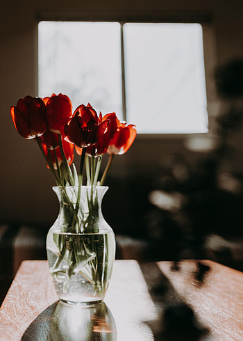 Flowers, Tulips, Bouquet HD phone wallpaper