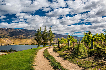 Nature, Rivers, Trees, Mountains, New Zealand, Path HD wallpaper